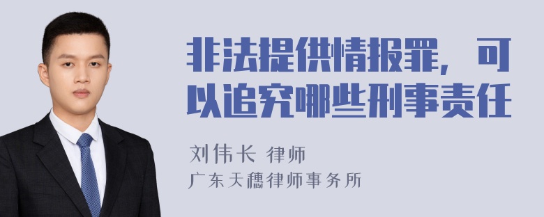 非法提供情报罪，可以追究哪些刑事责任