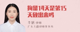 拘留14天是第15天放出来吗