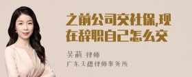 之前公司交社保,现在辞职自己怎么交