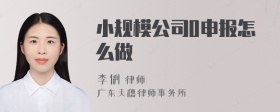 小规模公司0申报怎么做