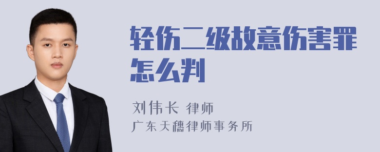 轻伤二级故意伤害罪怎么判