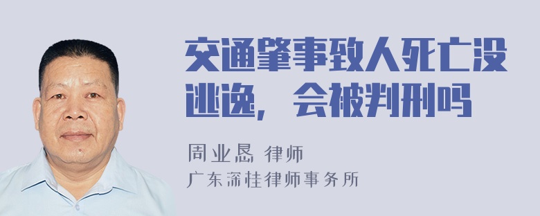 交通肇事致人死亡没逃逸，会被判刑吗