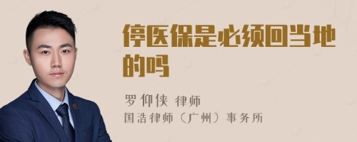 停医保是必须回当地的吗