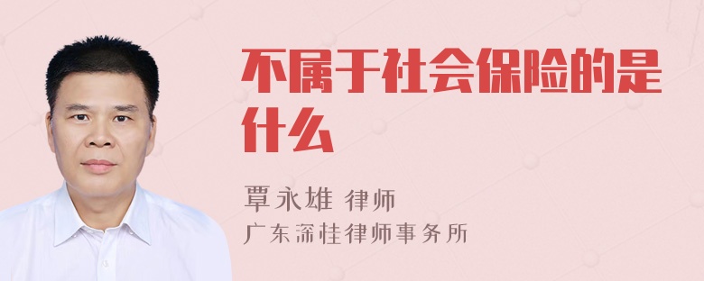 不属于社会保险的是什么