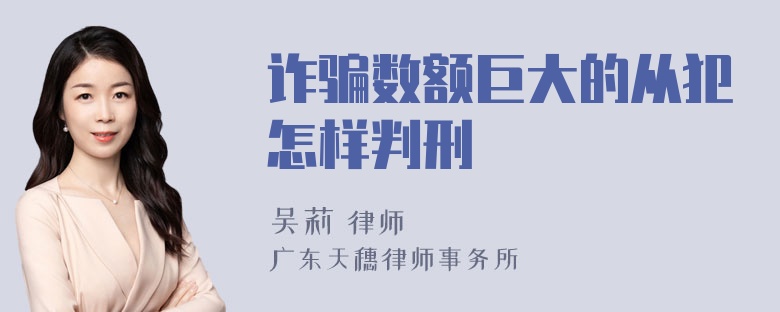 诈骗数额巨大的从犯怎样判刑