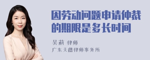 因劳动问题申请仲裁的期限是多长时间