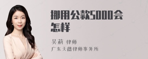 挪用公款5000会怎样
