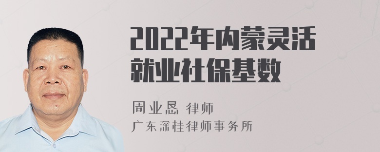 2022年内蒙灵活就业社保基数