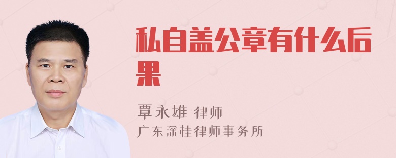 私自盖公章有什么后果