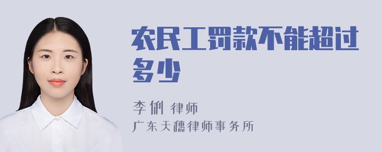 农民工罚款不能超过多少