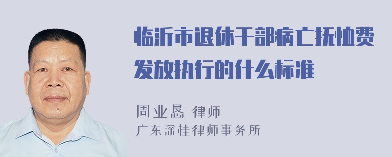 临沂市退休干部病亡抚恤费发放执行的什么标准