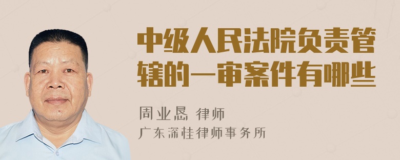 中级人民法院负责管辖的一审案件有哪些