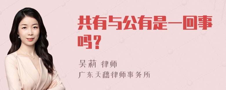 共有与公有是一回事吗？