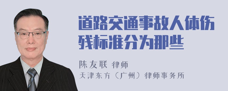 道路交通事故人体伤残标准分为那些