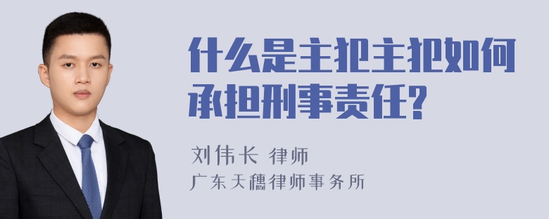 什么是主犯主犯如何承担刑事责任?