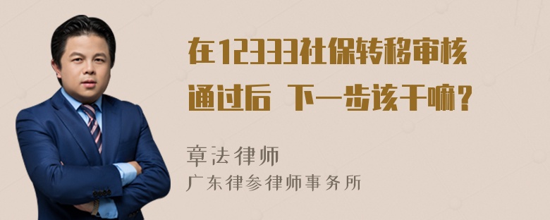 在12333社保转移审核通过后 下一步该干嘛？