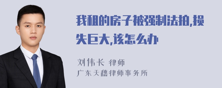 我租的房子被强制法拍,损失巨大,该怎么办