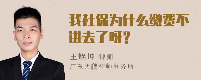 我社保为什么缴费不进去了呀？