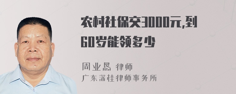 农村社保交3000元,到60岁能领多少