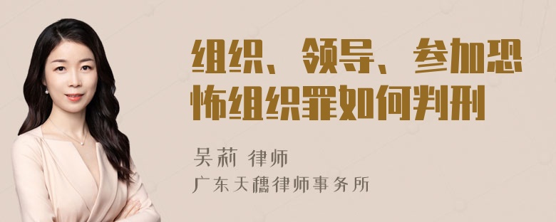 组织、领导、参加恐怖组织罪如何判刑