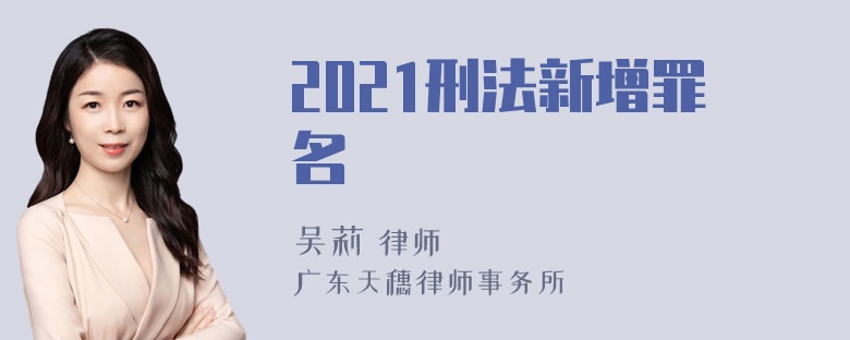 2021刑法新增罪名