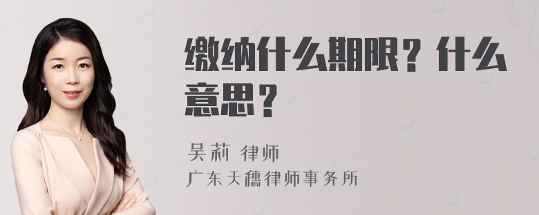 缴纳什么期限？什么意思？