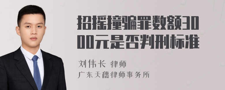 招摇撞骗罪数额3000元是否判刑标准