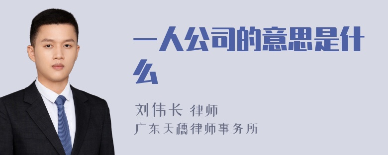 一人公司的意思是什么