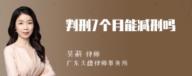 判刑7个月能减刑吗