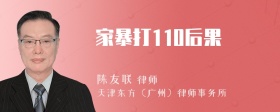 家暴打110后果