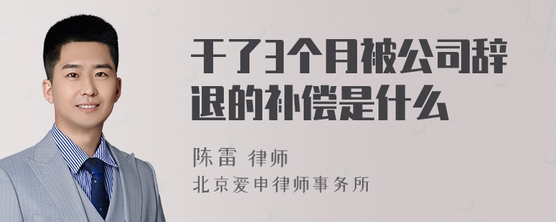 干了3个月被公司辞退的补偿是什么