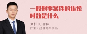 一般刑事案件的诉讼时效是什么