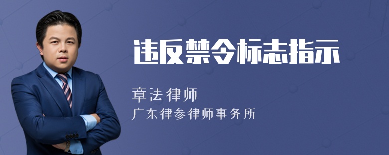 违反禁令标志指示