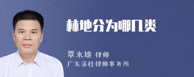 林地分为哪几类