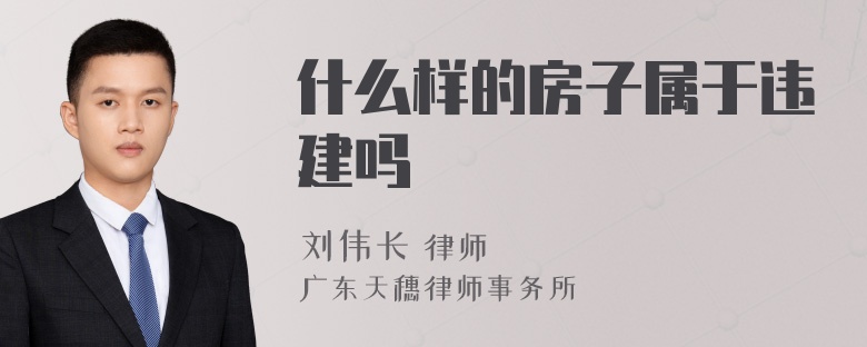 什么样的房子属于违建吗