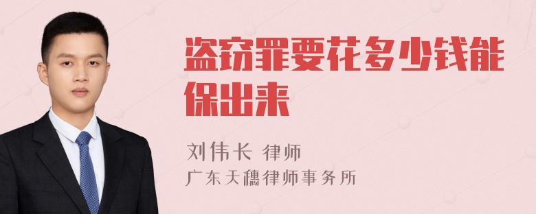 盗窃罪要花多少钱能保出来