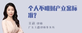 个人不明财产立案标准?