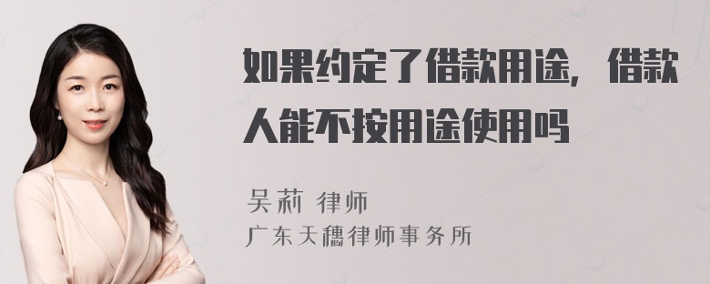 如果约定了借款用途，借款人能不按用途使用吗