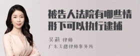 被告人法院有哪些情形下可以执行逮捕