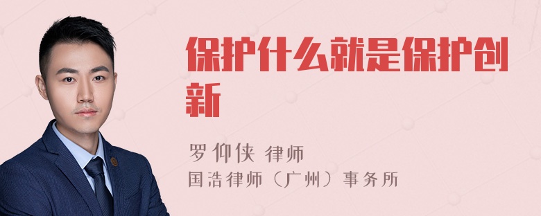 保护什么就是保护创新