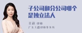 子公司和分公司哪个是独立法人