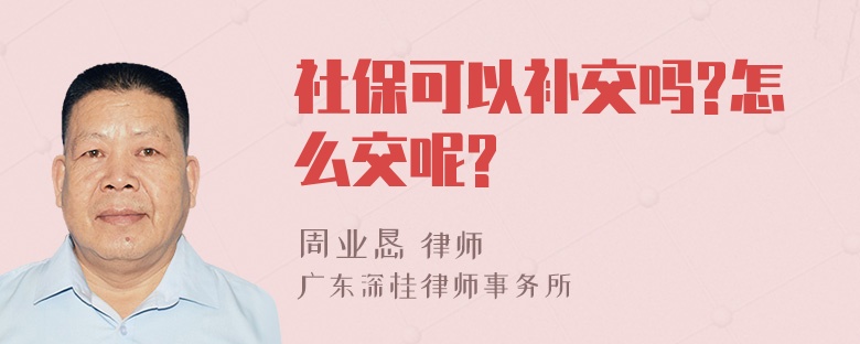 社保可以补交吗?怎么交呢?