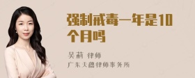 强制戒毒一年是10个月吗