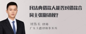 民法典借款人能否对借款合同主张撤销权?