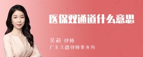 医保双通道什么意思