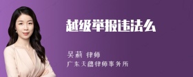 越级举报违法么