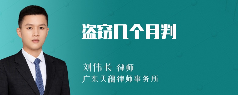盗窃几个月判