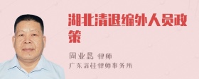 湖北清退编外人员政策