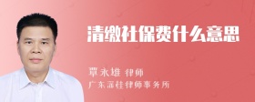 清缴社保费什么意思