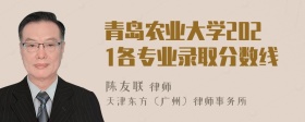 青岛农业大学2021各专业录取分数线